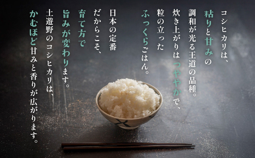 有機米 コシヒカリ 10kg　棚田-tanata-（有機JAS認証米）