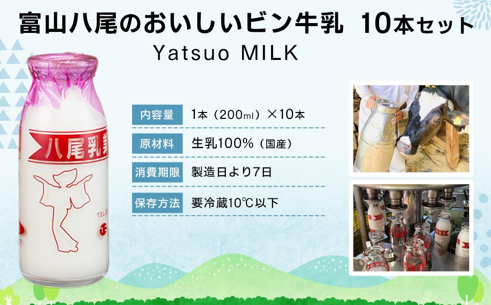 Yatsuo MILK (牛乳)10本セット　富山八尾のおいしいビン牛乳