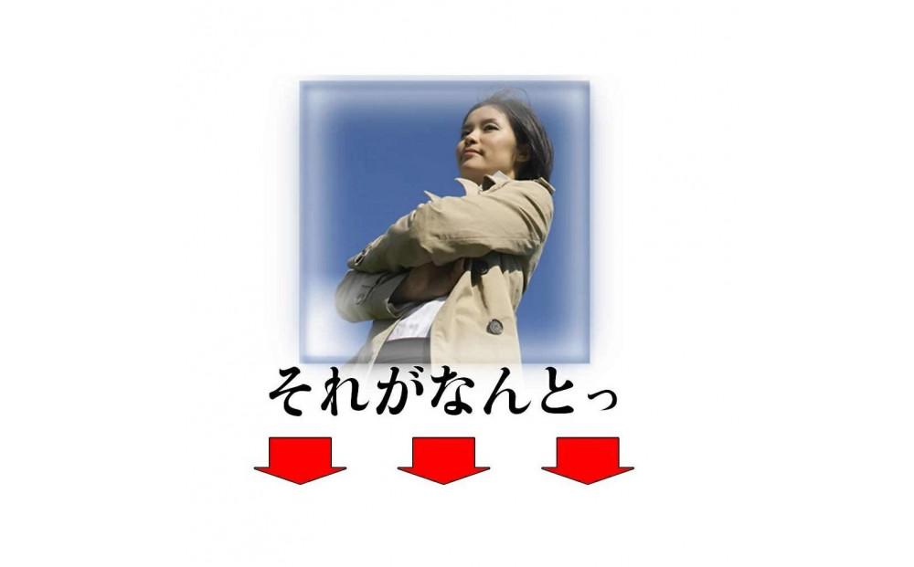 約1年分水素サプリメント 365粒