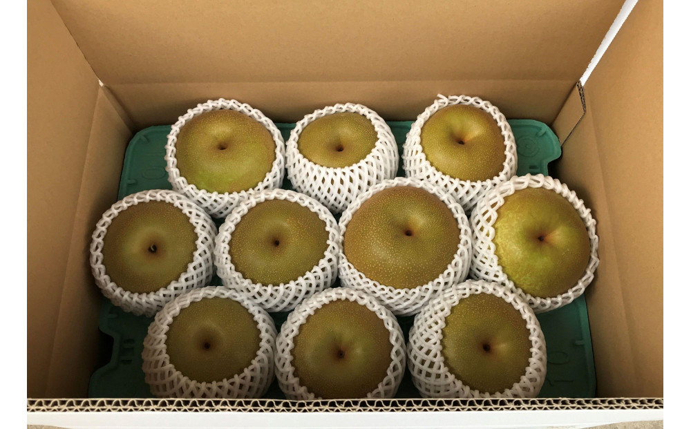 【先行受付】元祖くれは梨 3kg箱