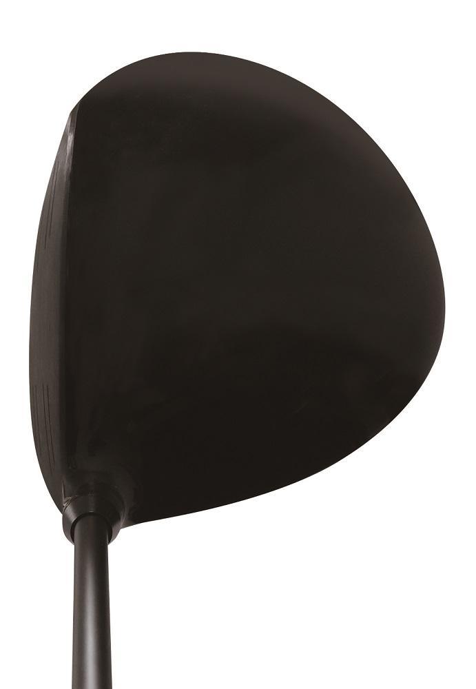 Rex&Regina SL Driver ロフト12°