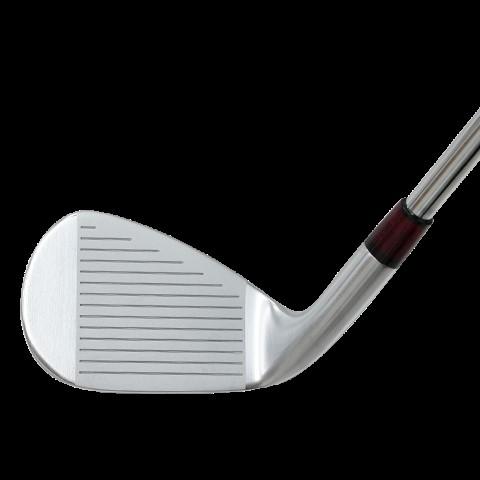 Rex&Regina FORGED IRON GW N.S.PRO 950 GH フレックスS