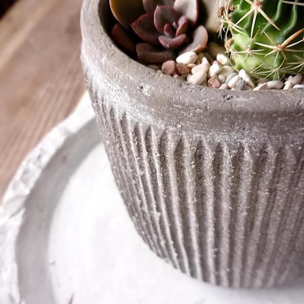 多肉＆サボテンアレンジ（グレー）