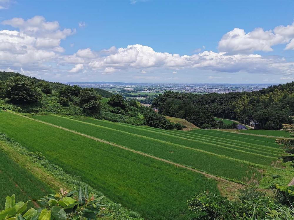 有機米 コシヒカリ 5kg　棚田-tanata-（有機JAS認証米）