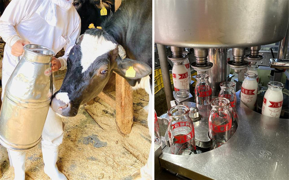 Yatsuo MILK １L(牛乳)【4本セット】富山八尾の特製おわら牛乳