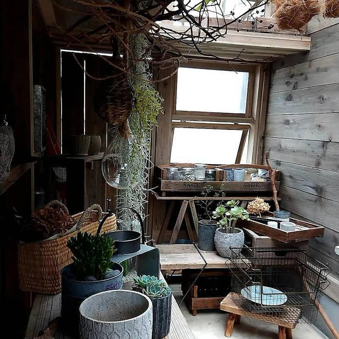 多肉＆サボテンアレンジ（グレー）