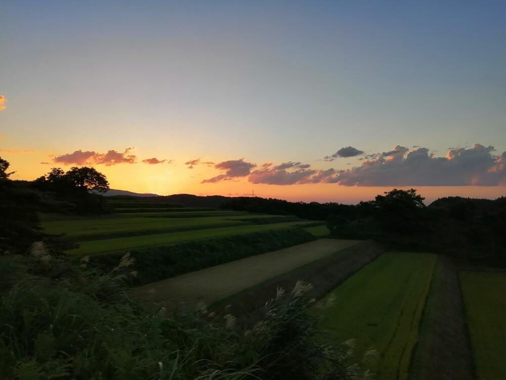 有機米 コシヒカリ 5kg　棚田-tanata-（有機JAS認証米）