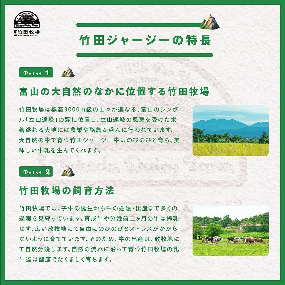 ジャージー牛乳の濃厚ジェラート！竹田ジェラート |全12種類|カップ