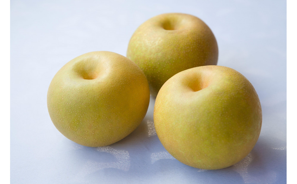 【先行受付】くれは梨　3kg箱