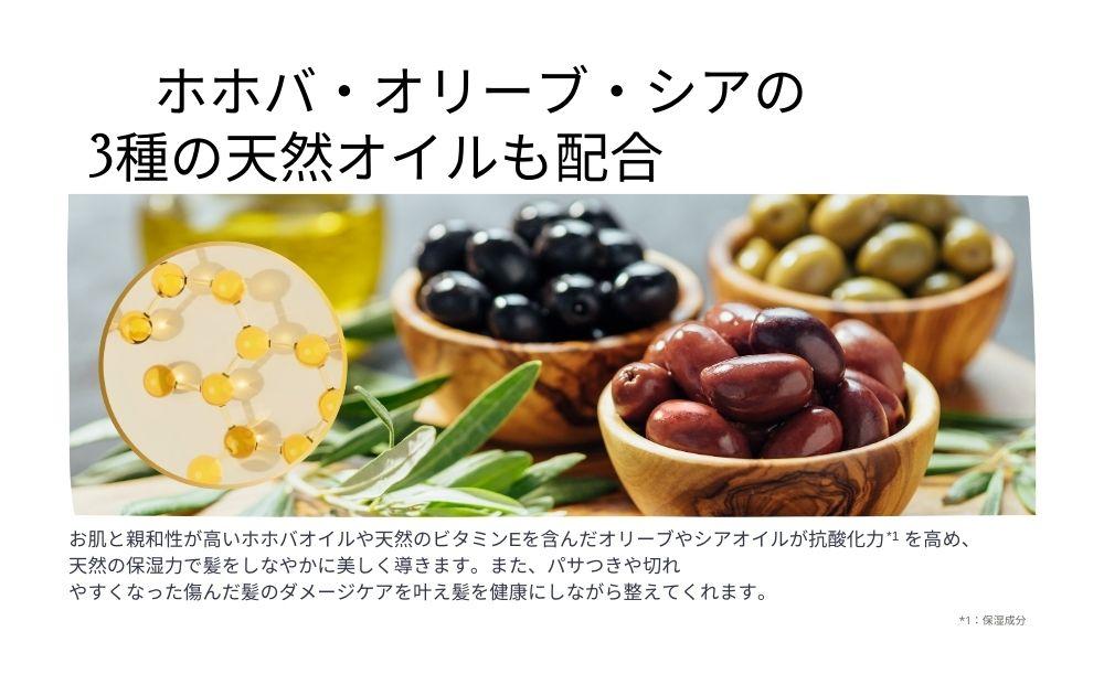 【サロン専売品】テクニカ スタイリッシュヘアケアオイル 100ml×3