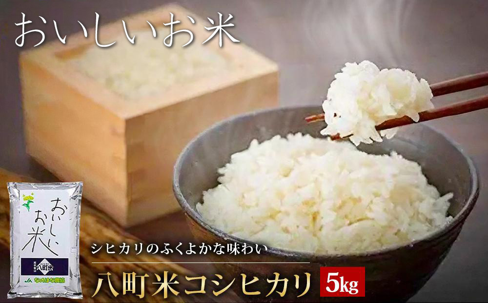 【令和7年産】八町米 コシヒカリ５Kg