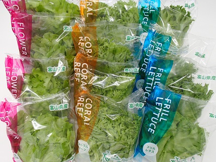 富山のおいしい水と電気エネルギーで生産した安心・安全野菜