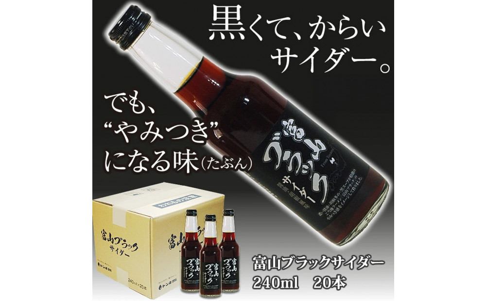 ブラックサイダー 1ケース２0本　炭酸飲料 サイダー ソフトドリンク 黒いサイダー