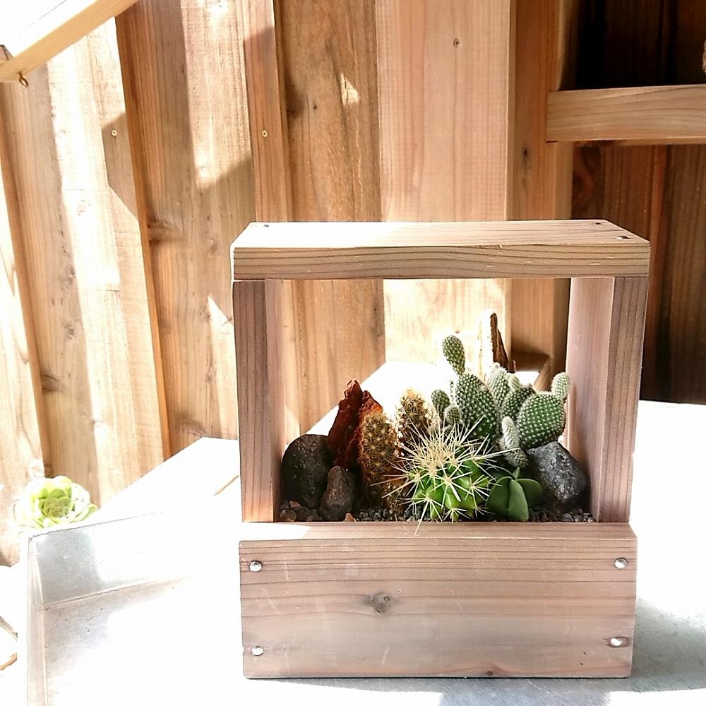 富山県産杉のウッドプランター「箱庭アレンジ」