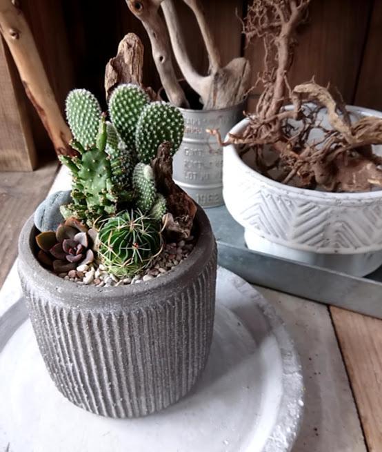 多肉＆サボテンアレンジ（グレー）