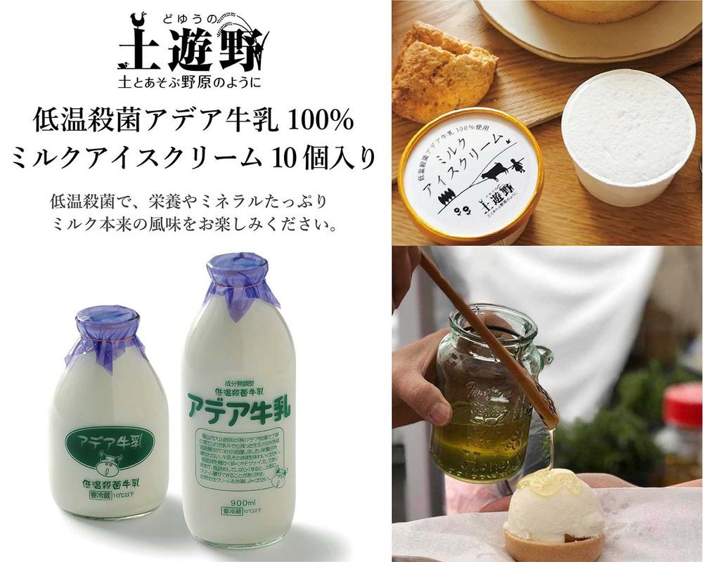 低温殺菌アデア牛乳100%のミルクアイスクリーム10個入り