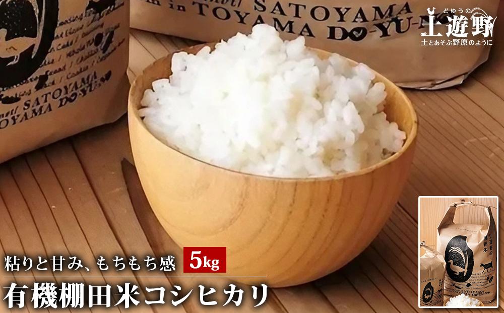 有機米 コシヒカリ 5kg　棚田-tanata-（有機JAS認証米）