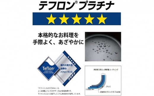 フライパン ガス火用 キャストスタイルライト 22cm テフロン