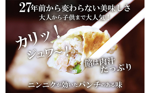 冷凍担々麺2食＋自家製餃子（25コ入）セット 惣菜 冷凍総菜