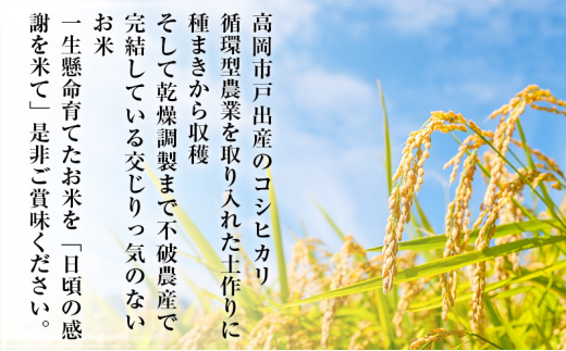 米 日頃の感謝を米て 3kg コシヒカリ 精米 白米 お米 こめ コ