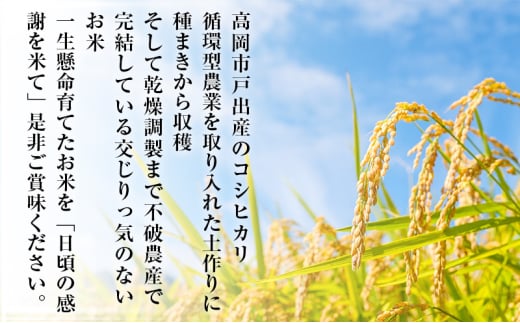 米 日頃の感謝を米て 6kg（3kg×2） コシヒカリ 精米 白米 お