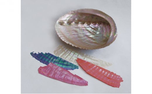 100丸盆 枝梅（貝入）朱 雑貨 日用品 工芸品  FAD-1219