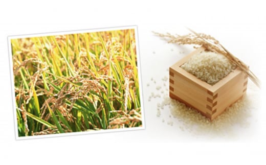 【ご注文後精米】「寿五位（すっごい）高岡牛」Ｅセット