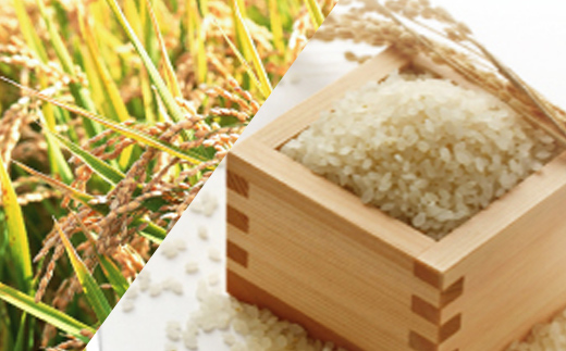 【精米後真空パック】「寿五位（すっごい）高岡牛」Ｊセ