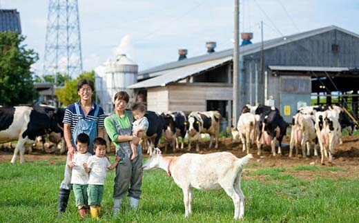 戸出ジェラート 8個セット アイス ミルク チョコ 抹茶 安納