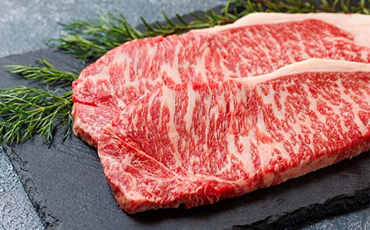 高岡育ちの越中万葉牛 もっと贅沢プレミアムセット サーロ