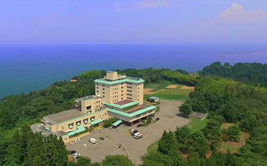 食事券 富山 ホテル 雨晴温泉 磯はなび 日帰り ペア 温泉 旅