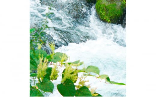 富山県産コシヒカリ 5kg×2袋(計10kg) 高岡市 米 精米 FAD-1794