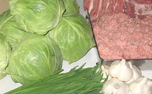 みんみんの餃子48個 （8コ×6パック） 餃子専門店 みんみん 