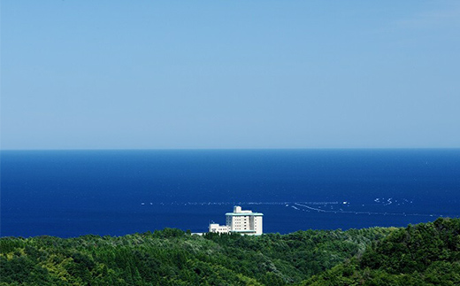 旅行 富山 ホテル 雨晴温泉 磯はなび ご利用 補助券 5000円分