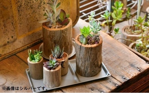 小物置き トリートレイ スクエア 2点セット ゴールド 小物