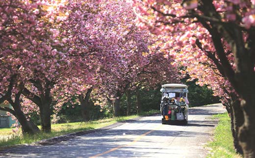 高岡カントリー倶楽部 ゴルフ利用券（9,000円分） ゴルフ場 