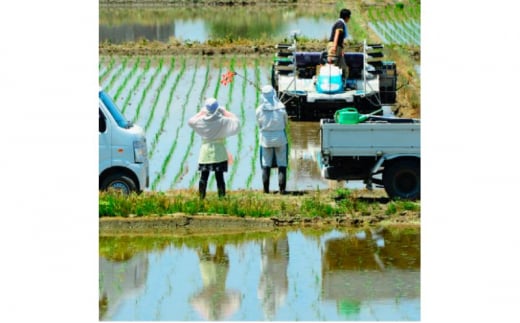 富山県産コシヒカリ 5kg 高岡市 米 精米 FAD-1793