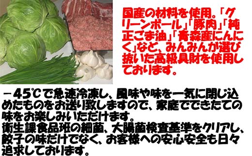 みんみんの餃子48個 （8コ×6パック） 餃子専門店 みんみん 