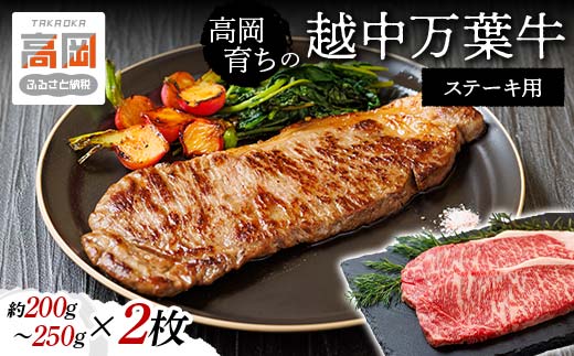 高岡育ちの越中万葉牛 ステーキ用200g～250g×2枚 サーロイン 