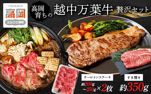 高岡育ちの越中万葉牛 贅沢セット（すき焼き用約350g＋ステ