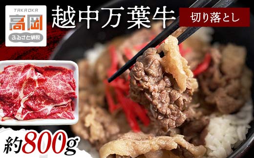 越中万葉牛切り落とし800ｇおすすめ 牛肉 すき焼き ボリュ