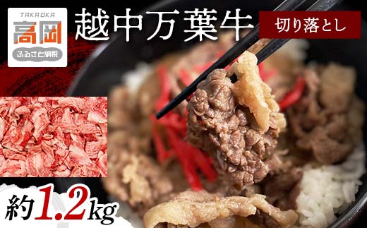 越中万葉牛切り落とし1.2Kg おすすめ 牛肉 すき焼き ボリュ
