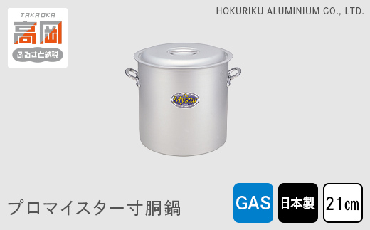 鍋 ガス火用 プロマイスター 寸胴鍋 21cm 両手鍋 蓋 蓋付き