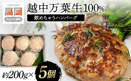 越中万葉牛100％飲めちゃうハンバーグ おすすめ 牛肉 ボリ