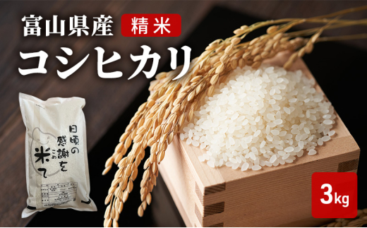 米 日頃の感謝を米て 3kg コシヒカリ 精米 白米 お米 こめ コ