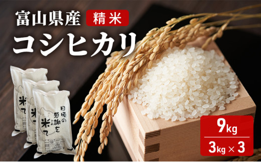 米 日頃の感謝を米て　9kg（3kg×3）コシヒカリ 精米 白米 お