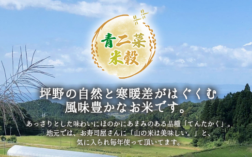 山の湧き水 寒暖差 山里 山里の米･坪野米 R7年産 てんたかく 10kg（5kg×2）｜ 新米 こめ コメ お米 おこめ 白米 精米 お弁当 おにぎり 香り うまみ あまみ 富山 魚津　※北海道・沖縄・離島への配送不可