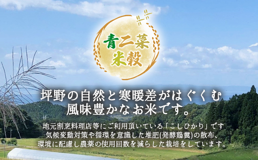 山の湧き水 寒暖差 山里 山里の米･坪野米 R7年産 環境保全米こしひかり 10kg　※北海道・沖縄・離島への配送不可　※2025年9月下旬～2025年10月中旬頃に順次発送予定
