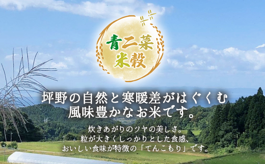 山の湧き水 寒暖差 山里 山里の米･坪野棚田米 R7年産 てんこもり15kg（5kg×3） ※北海道・沖縄・離島への配送不可