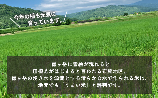 【先行予約】【R7年度産米】収穫後すぐにお届け 富山県魚津市 布施の里コシヒカリ玄米30kg ※北海道・沖縄・離島への配送不可　※2025年9月下旬頃より順次発送予定
